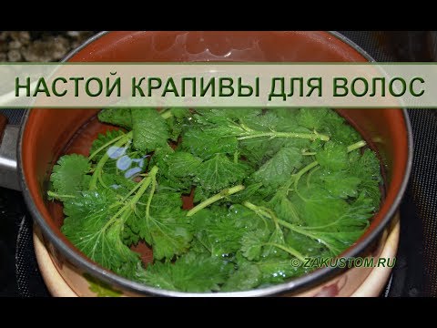 Видео: Крапива для здоровья и красоты волос - Nettles for health and beauty of hair