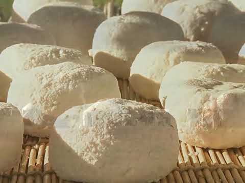 Видео: АСЫ ЖАЙЛАУ