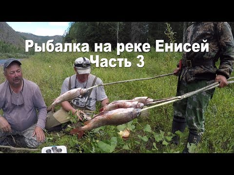 Видео: Рecпублика Тува | Рыбалка в Туве | Река Енисей | Часть 3 | Супер рыбалка | Нереальный клёв