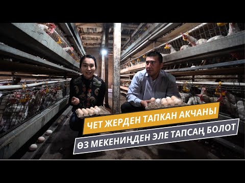 Видео: Чет жерден тапкан акчаны өз мекениңден эле тапсаң болот | ЭЛЕТТЕ