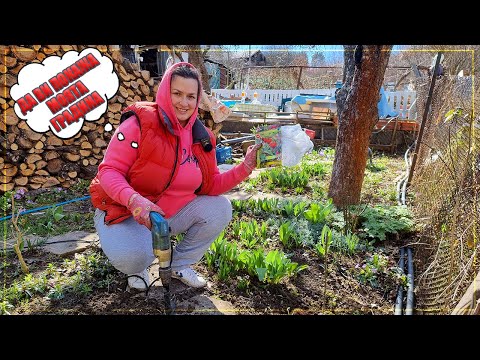 Видео: Живот на село: градината ни през март 2023