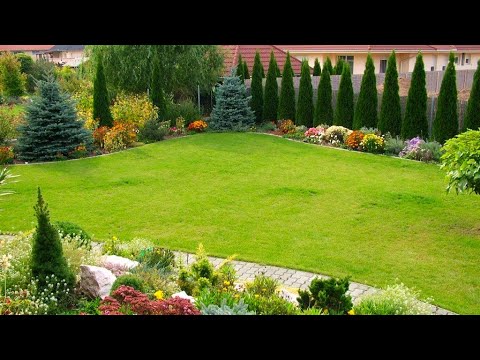 Видео: Ландшафтные идеи для вашего сада / Landscape ideas for a country garden