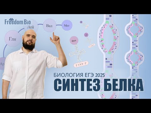 Видео: Биосинтез белка. 27 ЗАДАНИЕ |Общая биология| ЕГЭ БИОЛОГИЯ 2025|Freedom|