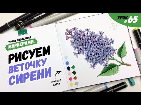 Видео: Как нарисовать сирень маркерами? / Видео-урок по рисованию маркерами для новичков #65