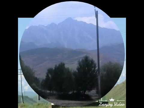 Видео: Ноокат району Күнгөй-Кожеке айылынын 91лер жамааты