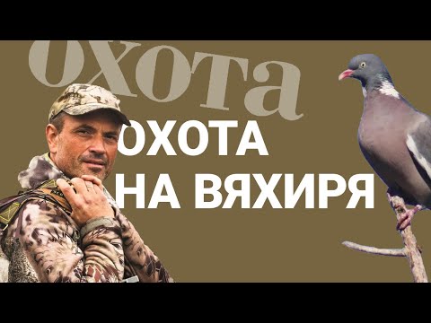 Видео: Охота на вяхиря. С чего начать?