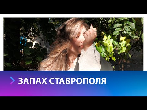 Видео: Корреспонденты АТВ и парфюмер из Владикавказа создали парфюм с запахом Ставрополя