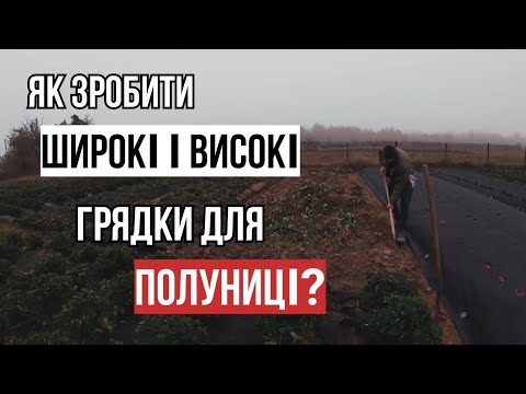 Видео: СЕКРЕТНА ТЕХНОЛОГІЯ ФОРМУВАННЯ ГРЯДОК ПІД ПОЛУНИЦЮ НА ПОЛІССІ/Вирощування на Поліссі