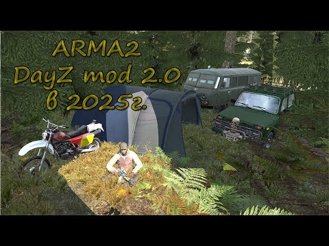 Видео: Обзор мода DayZ (ARMA2)