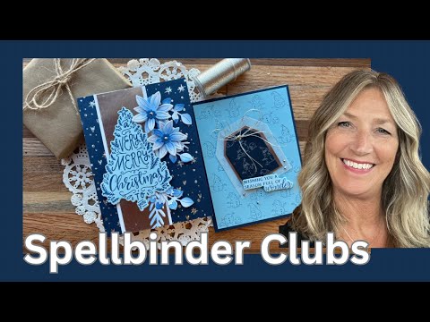 Видео: Наборы Spellbinders Club, октябрь 2025 г. | Зимняя синяя открытка