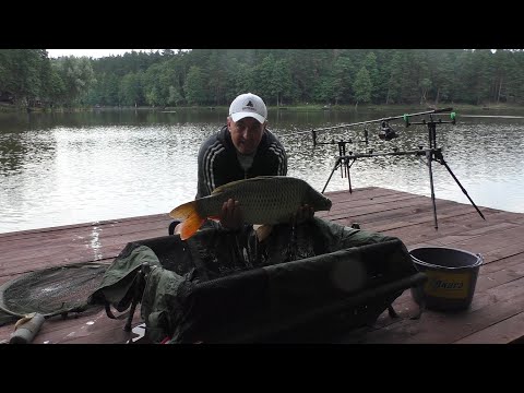 Видео: Суботній флетфідер.Озеро Трофейне