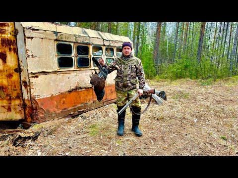 Видео: СИБИРЬ. ВЕСЕННЯЯ ОХОТА НА ГЛУХАРЯ. НА ТОК СКВОЗЬ БОЛОТО.