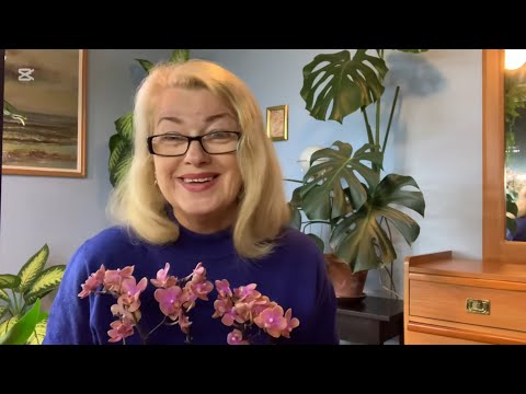 Видео: Орхидеи в гостиной. Цветы, цветоносы, листья и корни! 🙂 Еще одна малышка в моей коллекции.(21.10.24)