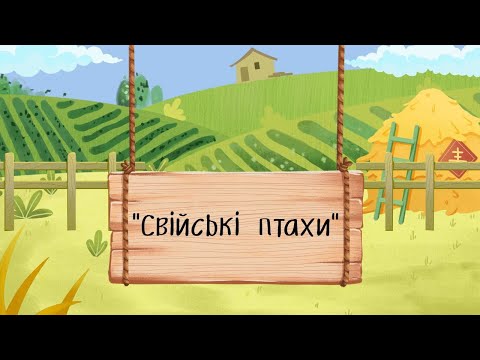 Видео: Свійські птахи - відео для дітей. Навчаємось разом 