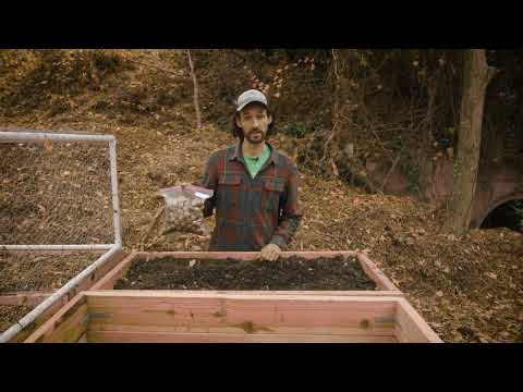 Видео: Советы по заполнению ящиков для обрезки растений семенами местных растений