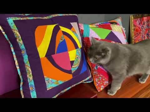 Видео: "ОНА ВСЁ ШЬЁТ КРИВО НЕРОВНО НЕПРАВИЛЬНО" СОБИРАЕМ ПОДУШКИ ТРИ ВАРИАНТА Мастер класс Гелла Чара