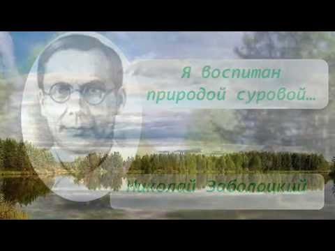 Видео: Заболоцкий. Я воспитан природой суровой.