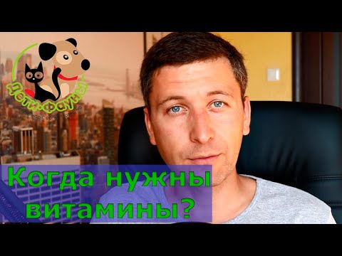Видео: Как понять, что кошке (собаке) не хватает витаминов?