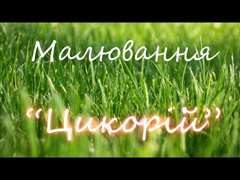 Видео: Малювання "Цикорій"