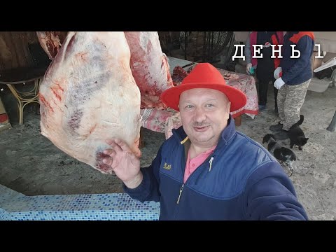 Видео: СОГЫМ. КАЗЫ - ГЛАВНЫЙ ДЕЛИКАТЕС КОЧЕВЫХ ТЮРКСКИХ НАРОДОВ. КАЗАХСТАН.