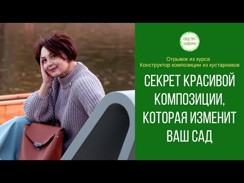 Видео: 💫Секрет создания красивой композиции, которая изменит ваш сад