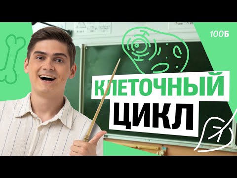 Видео: Интенсив "Деление клетки". Клеточный цикл. Интерфаза | Марк Ламарк | 100балльный репетитор