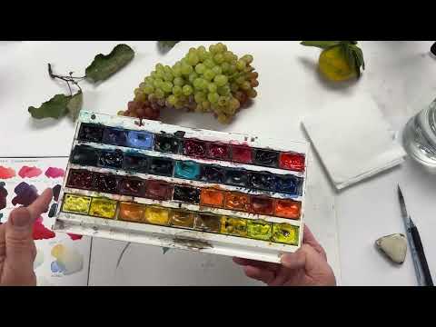 Видео: Как рисовать с натуры? Рисуем виноград кишмиш, акварель. Художник Лилия Бето