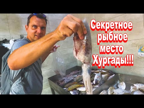 Видео: Рыбный рынок Хургады ОТДЫХАЕТ! Секретное рыбное место от Антона! Египет.
