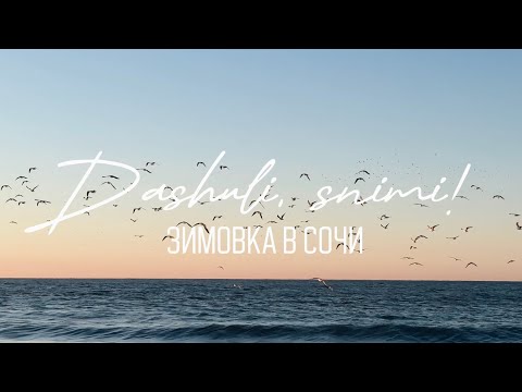 Видео: ЗИМОВКА В СОЧИ: ОСОБЕННОСТИ, ПЛЮСЫ И МИНУСЫ