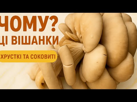 Видео: Цей рецепт з грибів вас здивує!Відбивні з Вішанок(Глив),які замінять м’ясо!Трендові гриби з YouTube🍄