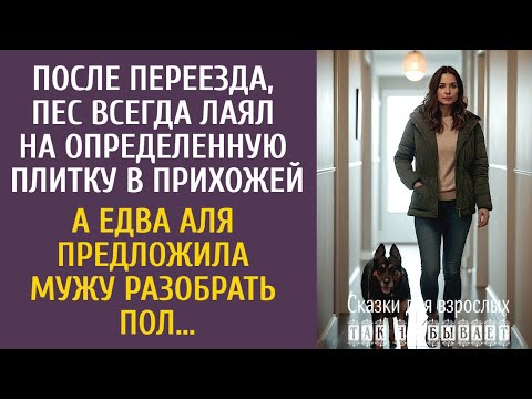 Видео: После переезда, пес лаял на определенную плитку в прихожей… А едва Аля предложила мужу разобрать пол