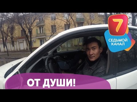 Видео: От души! Q-елі с понедельника по четверг в 19:00 на Седьмом канале!