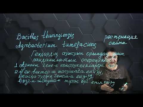 Видео: Генетикалык инженерия маңызы. 1 бөлім. 10 сынып.