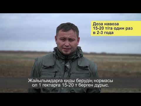 Видео: Поверхностное улучшение пастбищ
