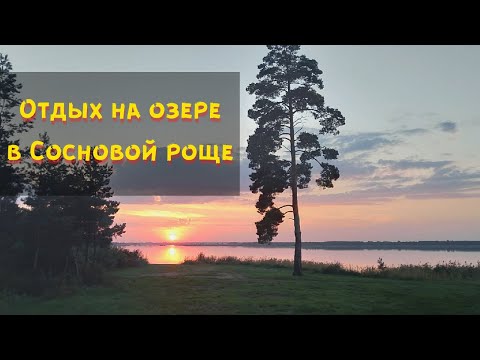 Видео: Семейный отдых с детьми. Озеро Горькое. Сосновая роща. Тропа здоровья. Ночевка в палатке.