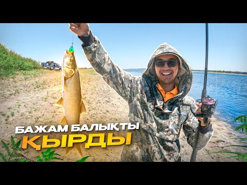 Видео: БАЖАМ БАЛЫҚТЫ ҚЫРДЫ! Ақсыла, ( ЖЕРЕХ ) шортан балығын ауладық. "ЖАҢАДАРИЯ" Саласын аласын!😱