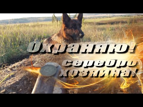 Видео: НАШЁЛ ДОРОГОЕ СЕРЕБРО.