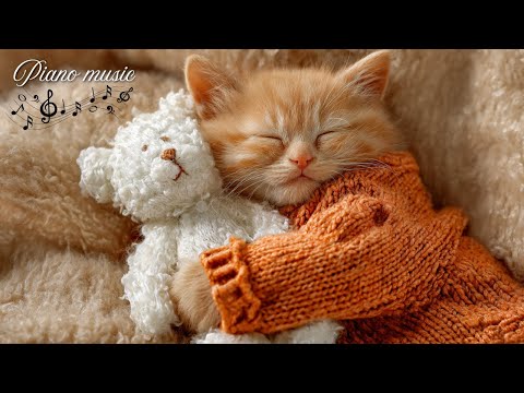 Видео: Расслабляющая фортепианная музыка для глубокого сна и стресса | Уютные кошки