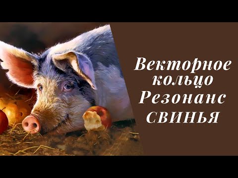 Видео: Векторное кольцо. Резонанс. Свинья.