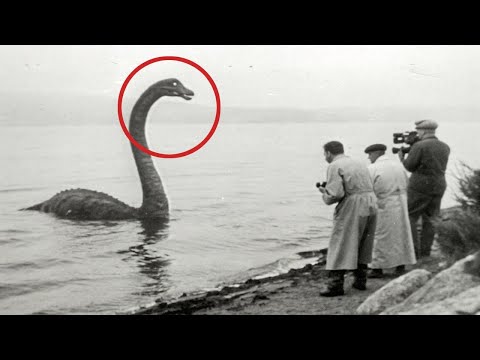 Видео: Ученые Наконец-то Раскрыли Тайну ЛОХ-Несского Чудовища!