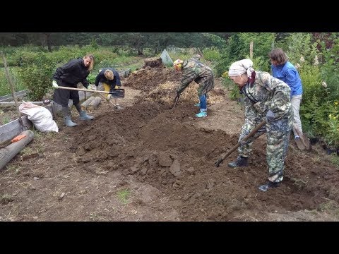 Видео: Семинар по пермакультуре Часть 1