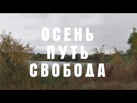 Видео: 🌤️ Прогулянка рідним краєм під улюблені пісні В. Цоя 🎸