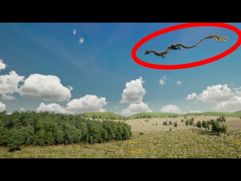 Видео: ОНИ СУЩЕСТВУЮТ | 10 ДРАКОНОВ СНЯТЫХНА ВИДЕО