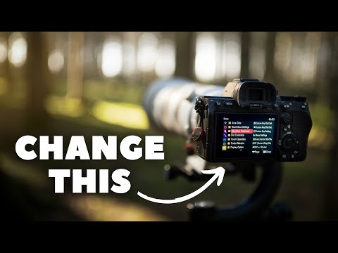 Видео: A7IV — Мои настройки для фотосъемки дикой природы