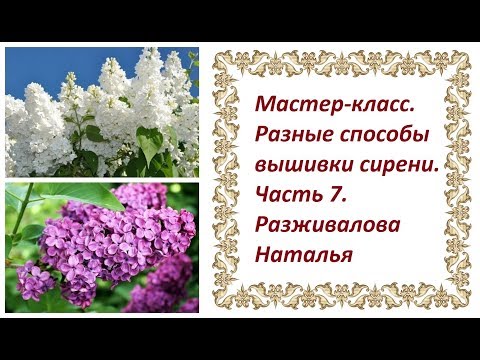 Видео: МК. Разные способы вышивки сирени. Часть 7. Листья (вышивка и аппликация).