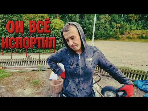 Видео: ПРОБИЛ ДЫРУ В СТЕНЕ . #домвлесу 