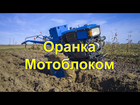 Видео: Осіння Оранка Мотоблоком,оранка мотоблоком, Мотоблок Зубр,як орати мотоблоком,плуг для мотоблока