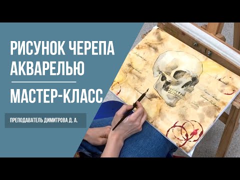 Видео: Рисование черепа · Карандаш + Акварель · Мастер-класс преподавателя Димитровой Д. А. | 16+