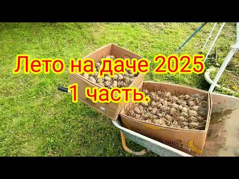 Видео: Дача. Лето '25. Часть 1.