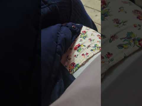 Видео: 17 января 2025 г.